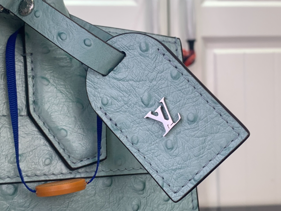 루이비통 LV 시티 스티머 MM백 스카이블루 타조무늬 (27 x 23 x 13)7.jpg