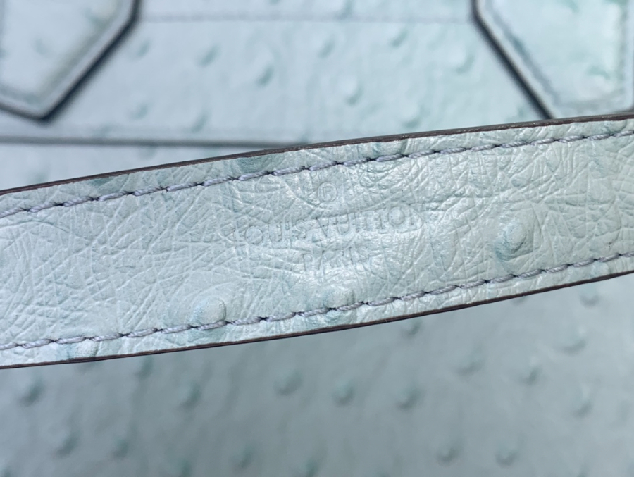 루이비통 LV 시티 스티머 MM백 스카이블루 타조무늬 (27 x 23 x 13)8.jpg