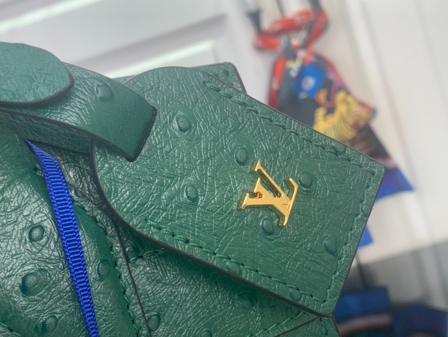 루이비통 LV 시티 스티머 MM백 초록색 타조무늬(27 x 23 x 13) (7).jpg