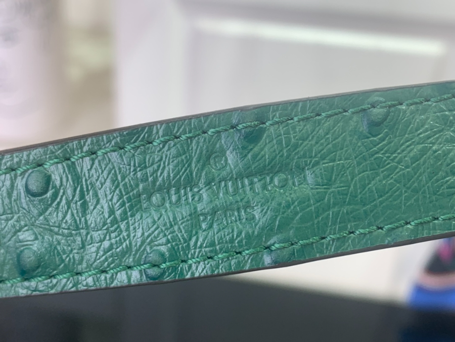 루이비통 LV 시티 스티머 MM백 초록색 타조무늬(27 x 23 x 13) (8).jpg