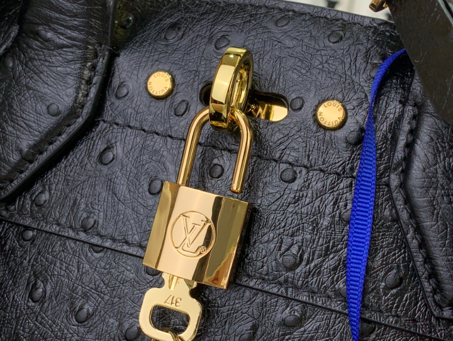 루이비통 LV 시티 스티머 미니백 블랙 타조무늬 (21 x 20 x 11)7.jpg