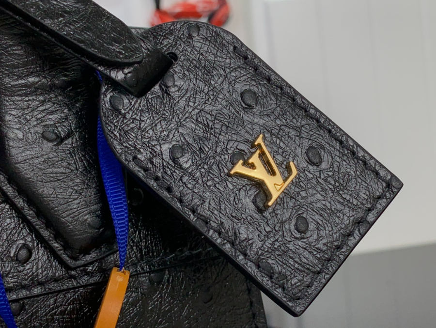 루이비통 LV 시티 스티머 미니백 블랙 타조무늬 (21 x 20 x 11)6.jpg