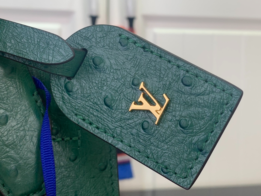 루이비통 LV 시티 스티머 미니백 초록색 타조무늬(21 x 20 x 11) (7).jpg