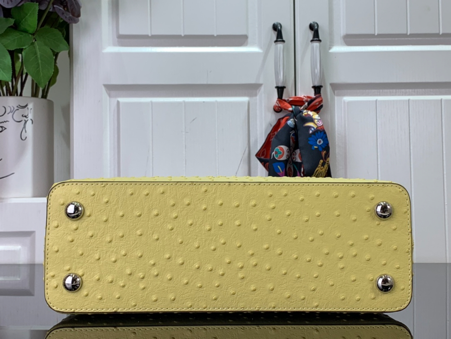 루이비통 타조 가죽 숄더백 N93419 94519 3사이즈 옐로우 LOUIS VUITTON20.jpg