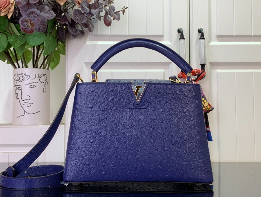 루이비통 카퓌신 스몰 타조무늬 27189cm M24714 다크 블루1.jpg