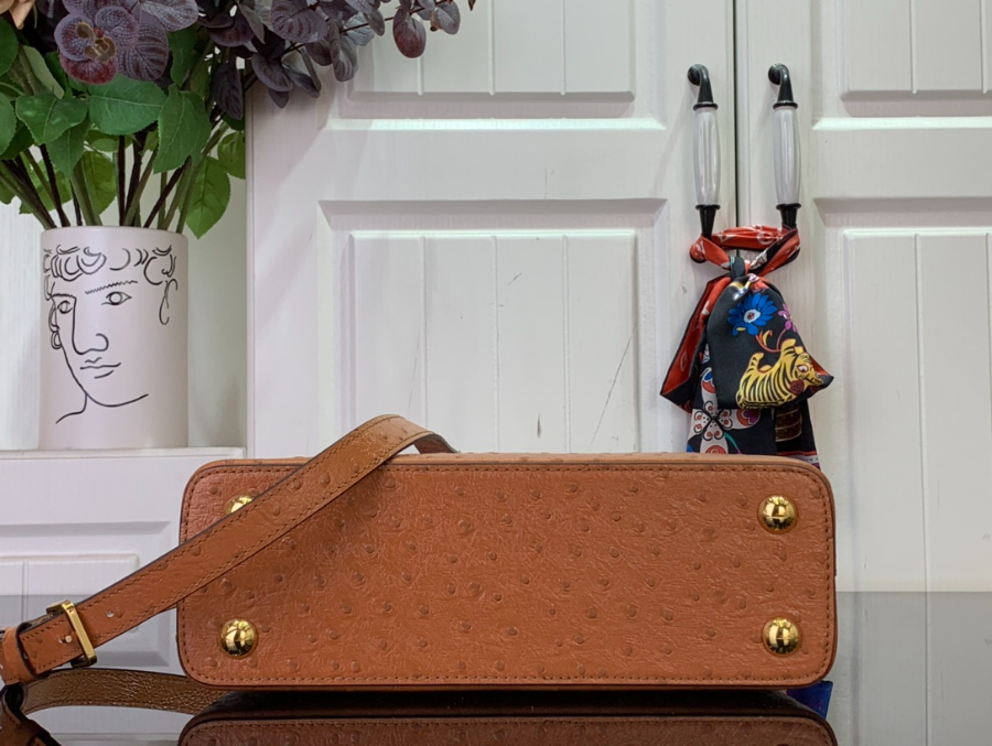 루이비통 카퓌신 스몰 타조무늬 27189cm M24714 브라운5.jpg